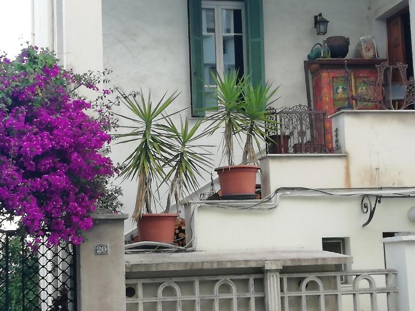 Villa Cecile Ajaccio  Zewnętrze zdjęcie